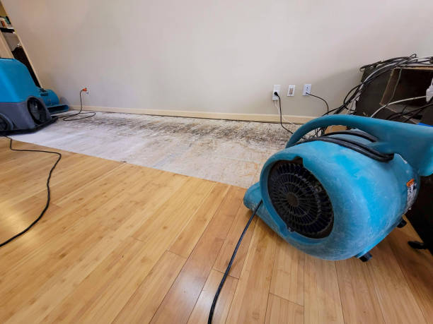 Professional Basement Flood Cleanup technician working in Fulton, NY